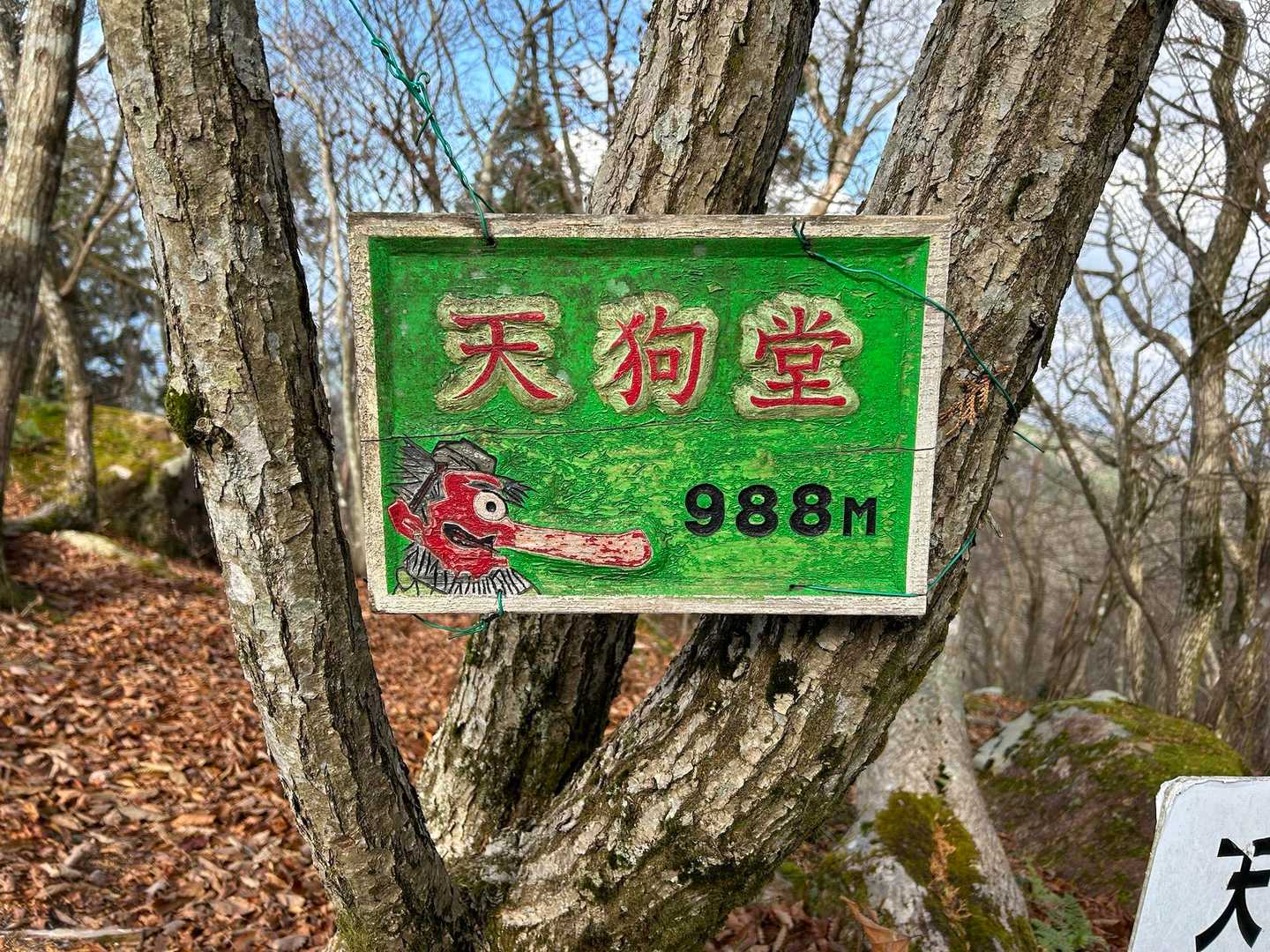 天狗堂-P924-サンヤリ-岩尾谷登山口-君ヶ畑バス停 周回コースの写真