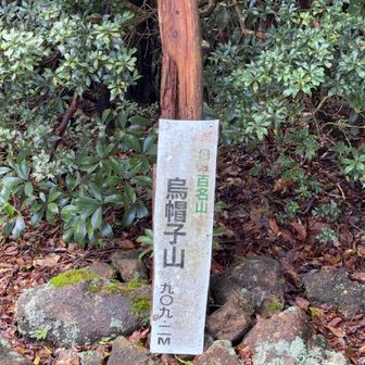 山頂　標識倒れていたので、立て掛けて