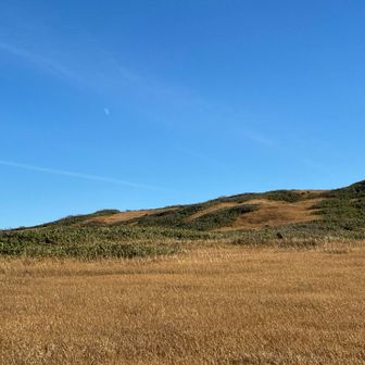 月🌕のかかる月山