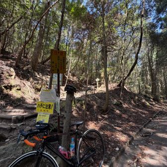 七滝とか行きたいけれど、帰りが心配なので引き返し始めに、普通の格好の猿投山の有名人に出会う