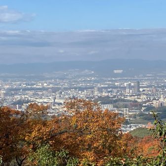 絶景を見ながら美味い🧇😋