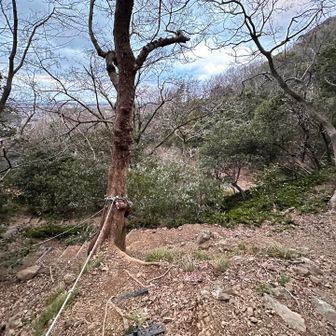 薬師谷コースとの分岐