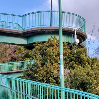 なぜかビーナスブリッジに到着