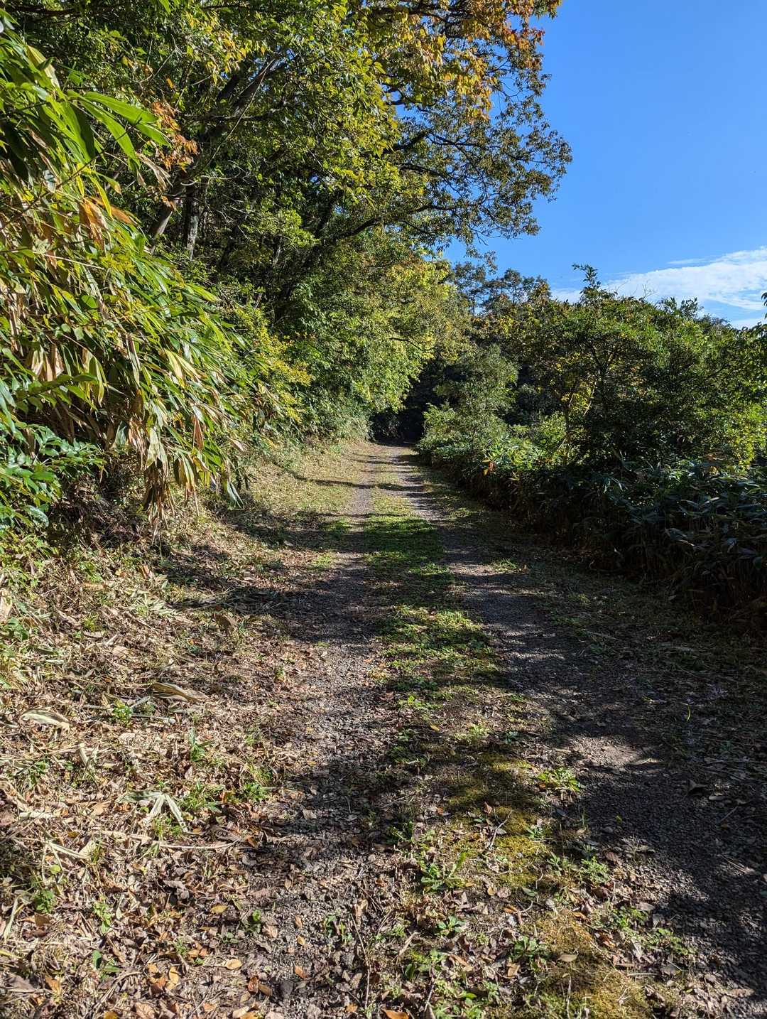 大黒山登山口-大黒山-大黒山登山口 周回コースの写真