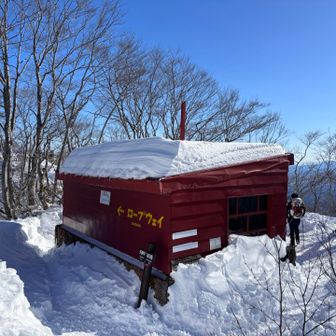 ここから先は余裕かと思いまた薄着になったら全て日陰の下山道。

また足攣って大騒ぎです😵‍💫

こんなバカは今度こそ見切りをつけられるかもしれません。

あ！僕より大バカいましたよ。
喫煙🚬しながら下山してた2人組。追いかけて蹴っ飛ばしてやろうかと思ったけど、脚が動かないのでやめときました。