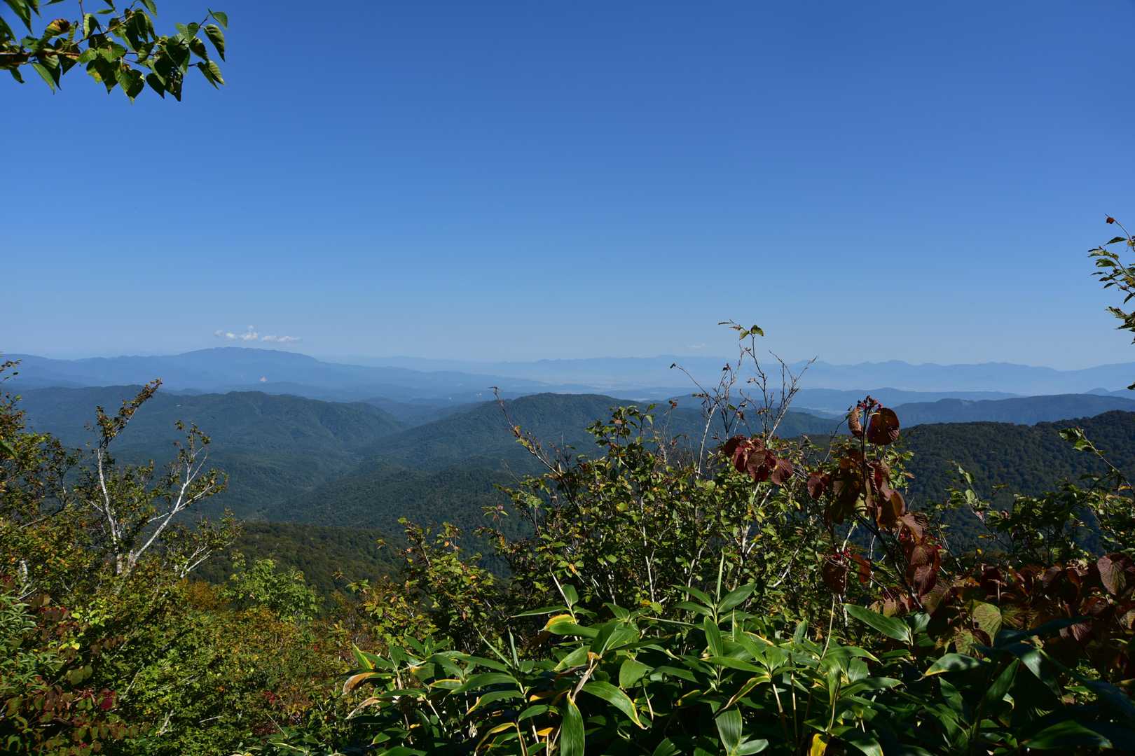 バテバテでやっと景観のいい場所に
