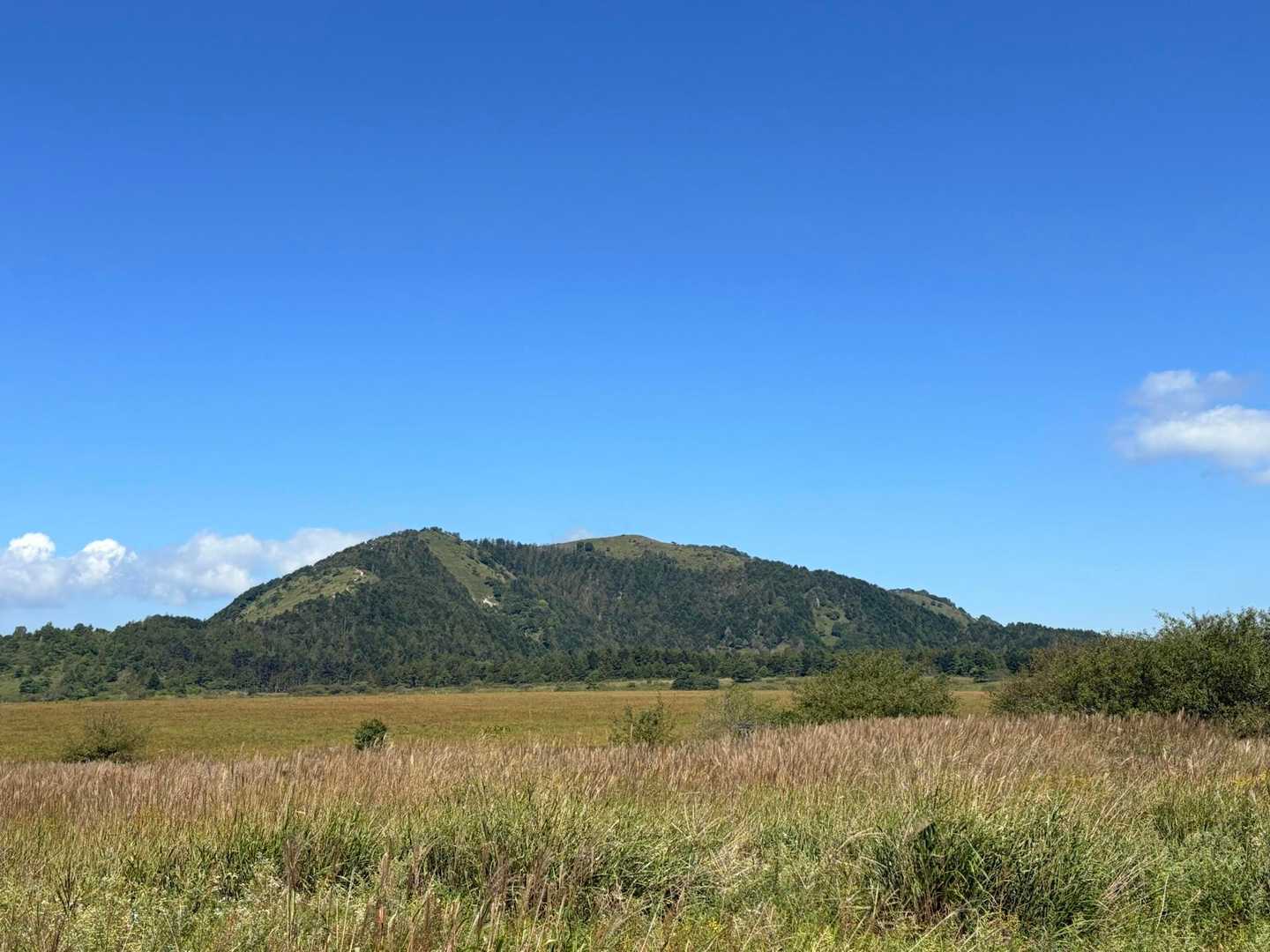 さっきまでいた鷲ヶ峰·͜·ᰔᩚ