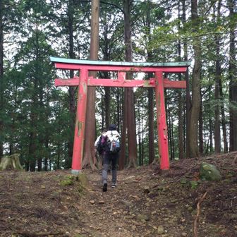 大鳥居の手前に小さな鳥居⛩️
左手を下って水芭蕉が咲く湿原へ向かう