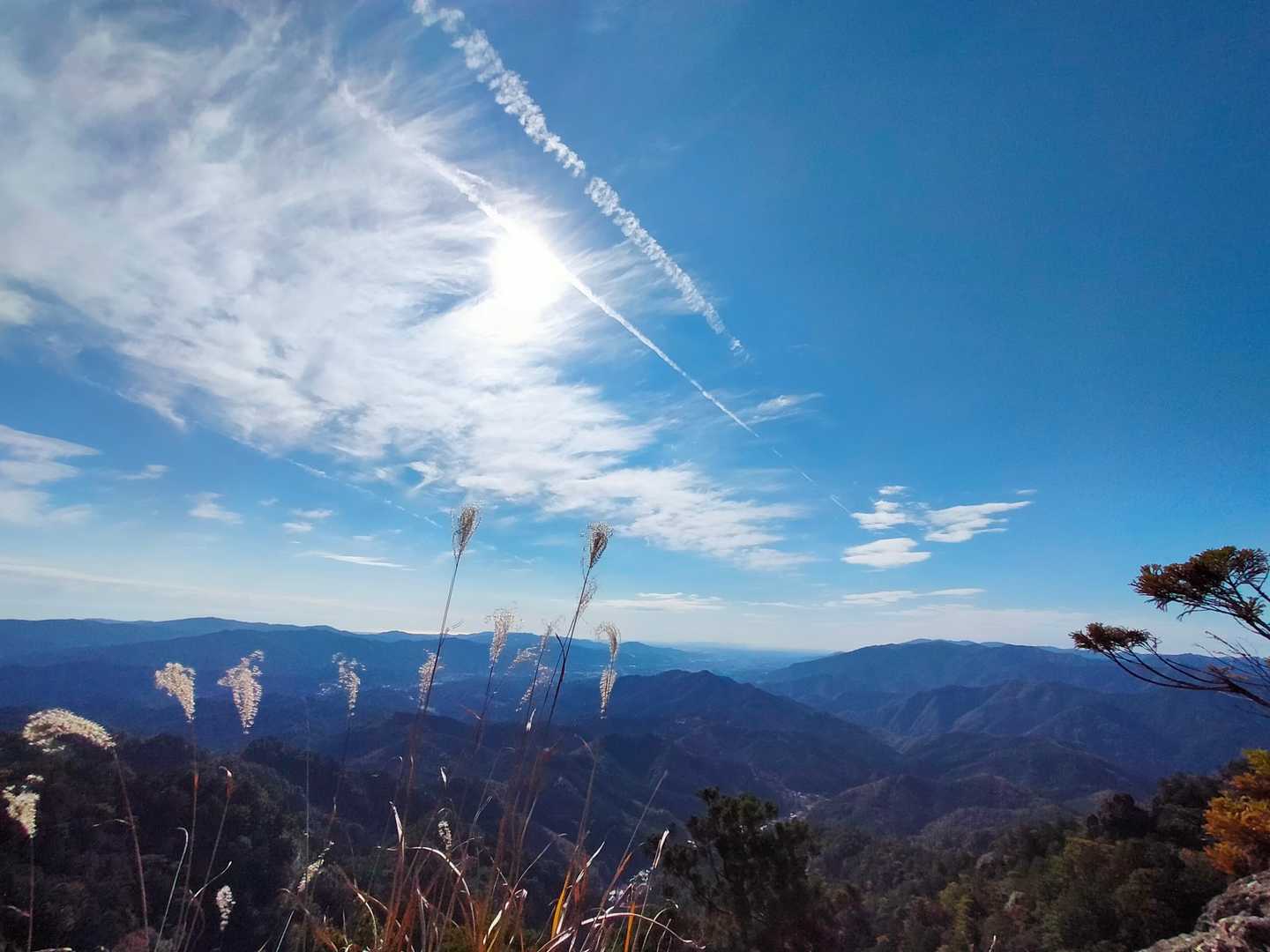ｽｽｷと青空
好きな秋の風景✨