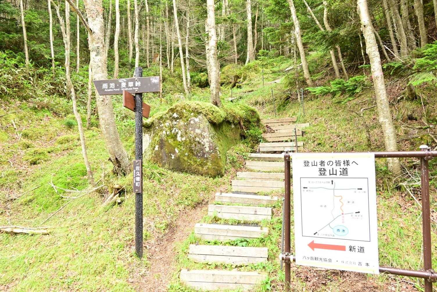 雨池山登山口