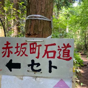 大日岳へ🚶🚶‍♀️