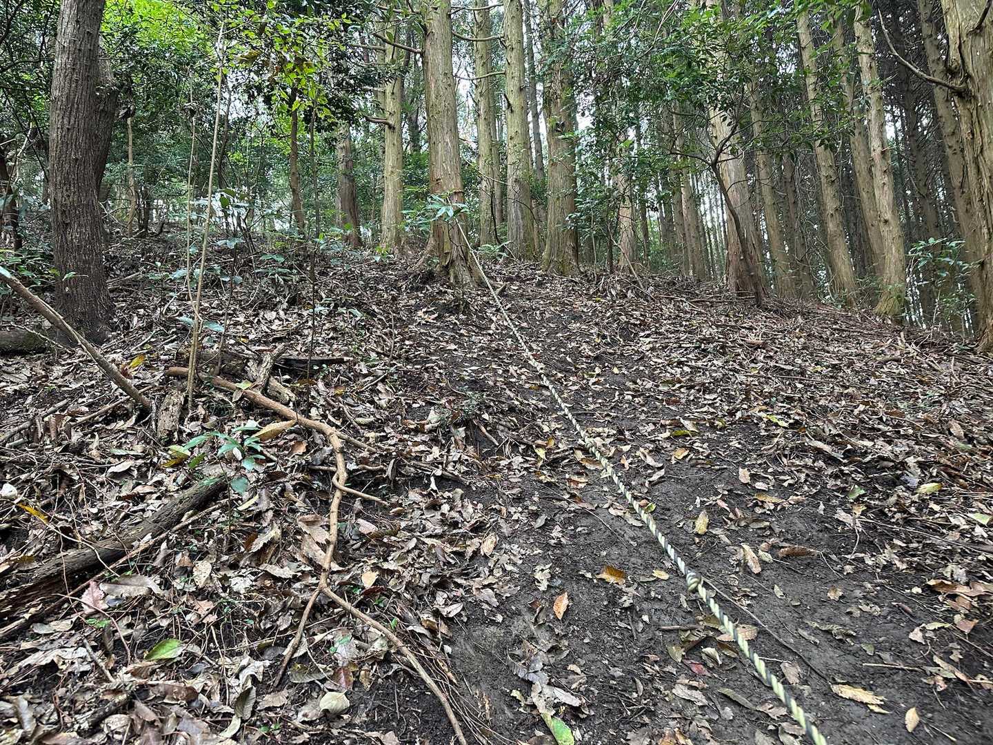 激上り激下りを繰り返す😫ﾊｧﾊｧ