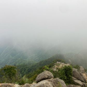 入道は、見えない。山頂もガスって来たので下山します。