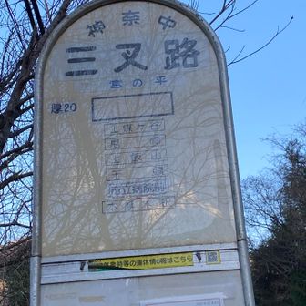 バスの時間までのんびりと。
２つ先のバス停まで歩いて、時間を潰す。

この後、バスで本厚木駅まで。
小田急線に乗り、新松田駅まで。
そこから、車を置いた西丹沢ビジターセンターまで、バスで向かう。