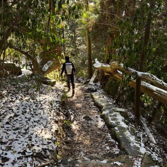 日陰は直ぐには溶けないね