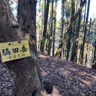 脇田岳
すでにヘロヘロである。