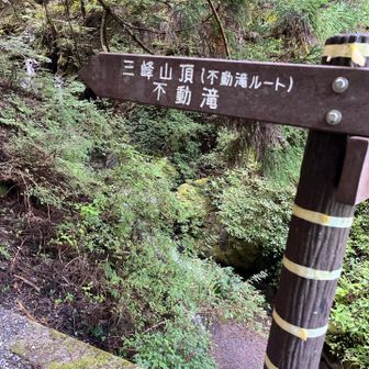 この案内板近くにトイレがあった。