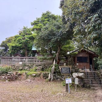 勝日高守神社⛩️
進むと、お社の前にはきちんと狛犬が座っていました🐕
大国主命をお祀りしているそうです🙏
