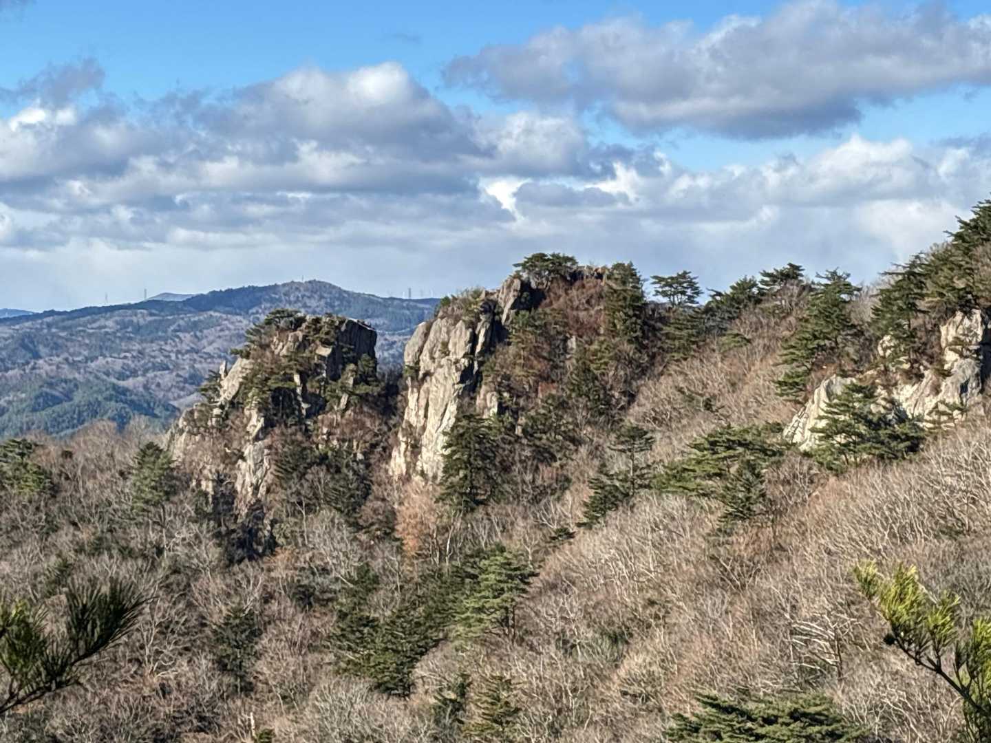 やまページ 機械曲R-77J サイクロン カーボンエンド EXPORT SPEC 政府認証