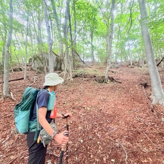 歩き易かったけど…