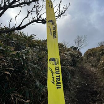 ITJのやつかな？