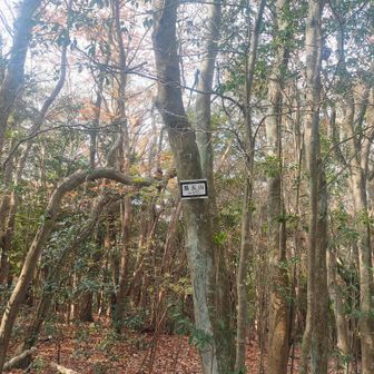 そういえば未踏だった黒五山もついでに踏んでおこうと