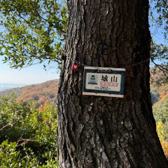 城山ー🗻眺望ヨシ🍁