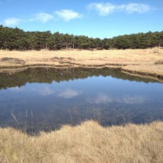 植物の遷移を確認できます。