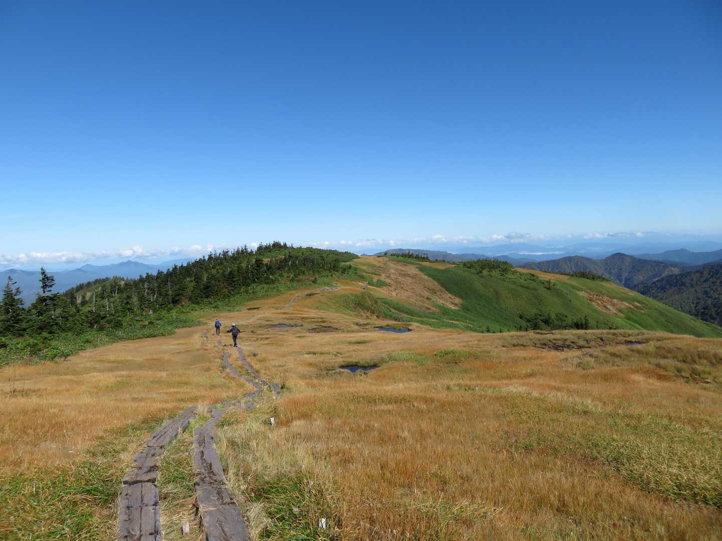 草紅葉が広がる中、2筋の木道がどこまでも続いていく。
こうじが今回最も楽しみにしていた天空の高層湿原歩きだ。
