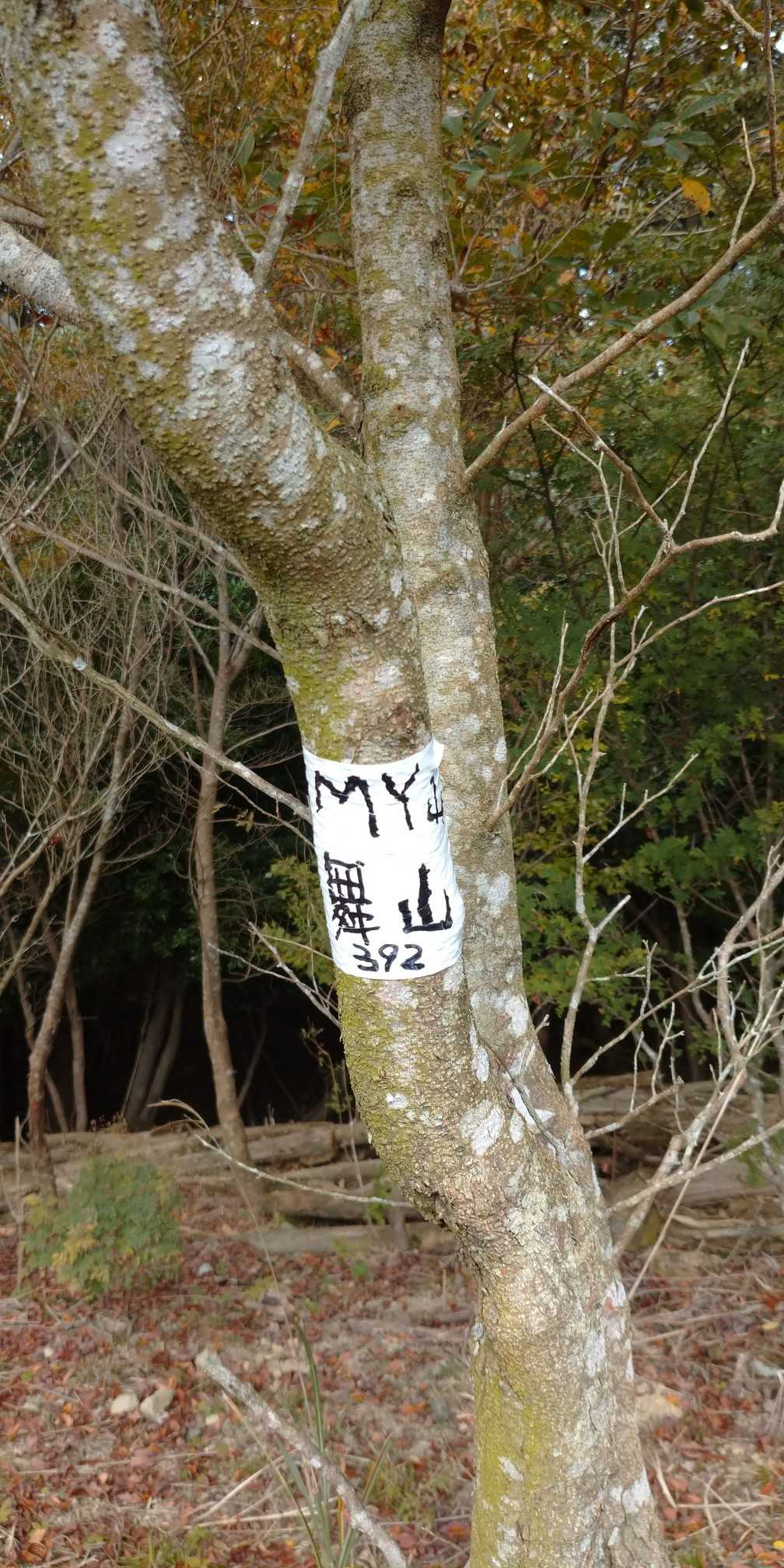 舞山