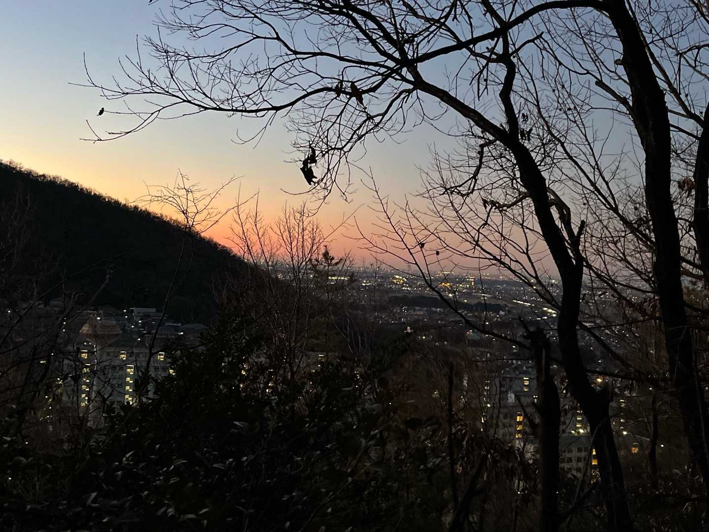 空が明るくなってきました