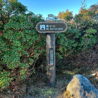 魂の山
良い名前