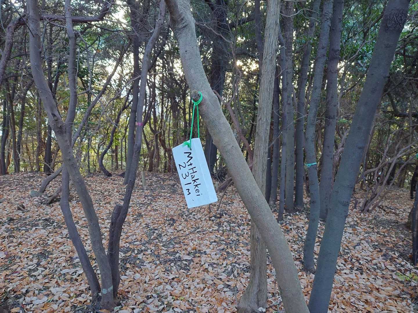 八景山とうちゃこ〜