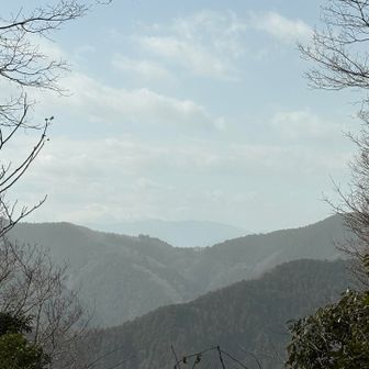 見えません🫥
心がきれいなら見えるかしら、、思ったり。