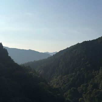 大仁田山方面かな