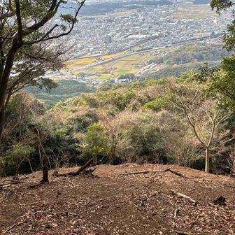 観客席の🏟️様に広がってました😳