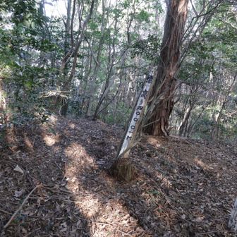 雲野尾峠、標高は400mあります