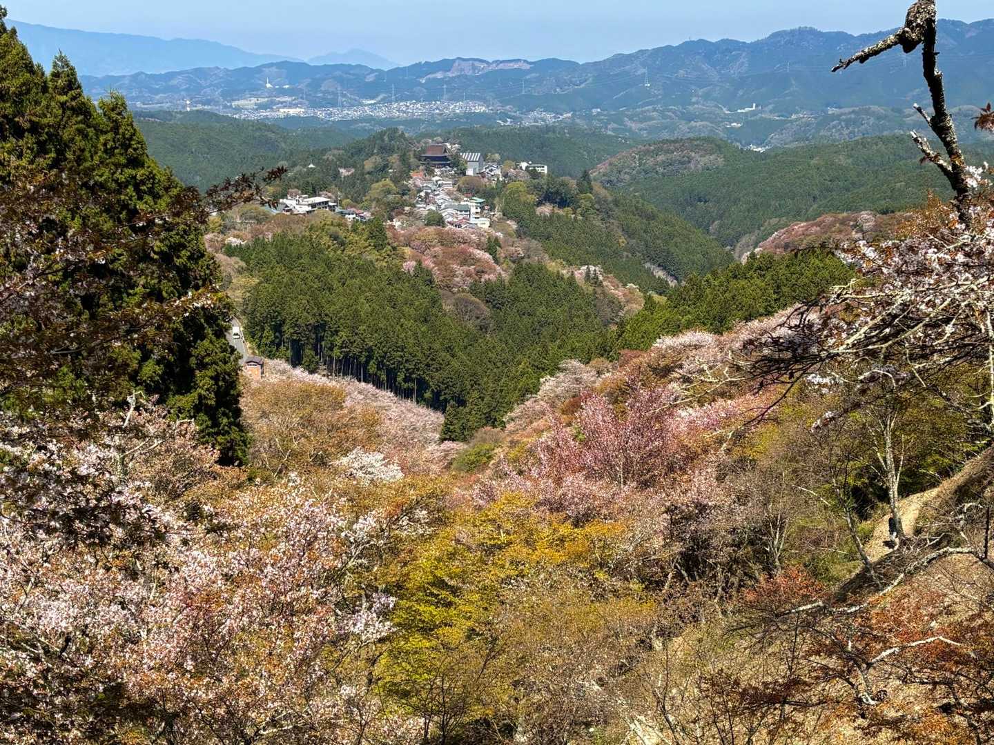 ここも良き