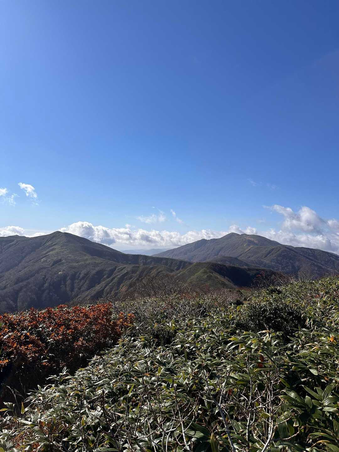 左、根菅岳。右、和賀岳。いいねぇ💚