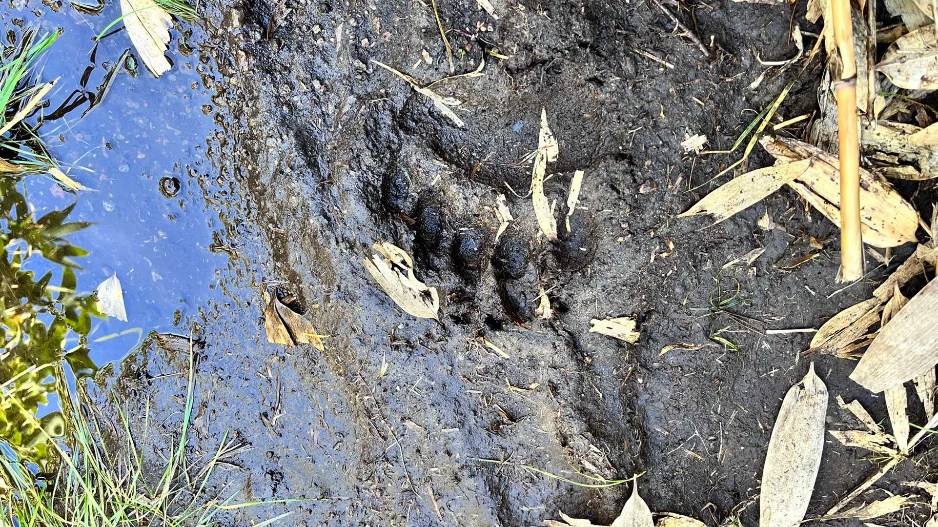 先行者あり💦😱
