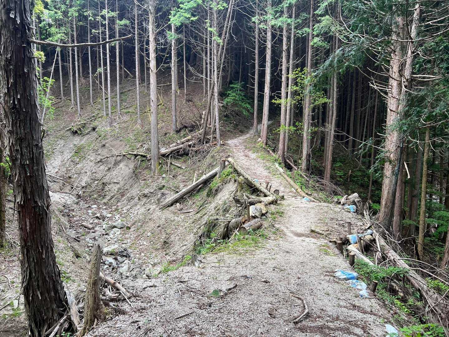 去年の水害で崩れたんだね💦
ダムのとこも工事中だった👷
実家のお山も削れたとか⛰️