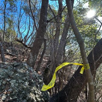 常陸国ロングトレイル（ひたちのくに）を誘導するテープがあります^_^