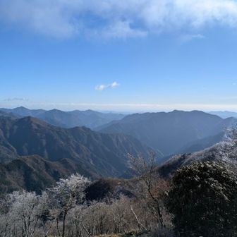 あちらは権田山かな