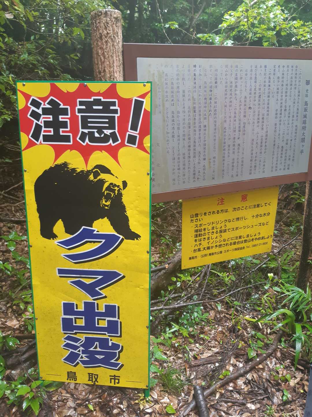 長田道、本陣方面、外神林道、分岐の🐻注意⚠️看板、今年は久松山には🐻来てないのかな❔🤔