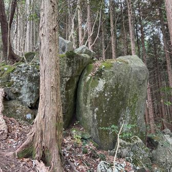 これは無名の岩。
