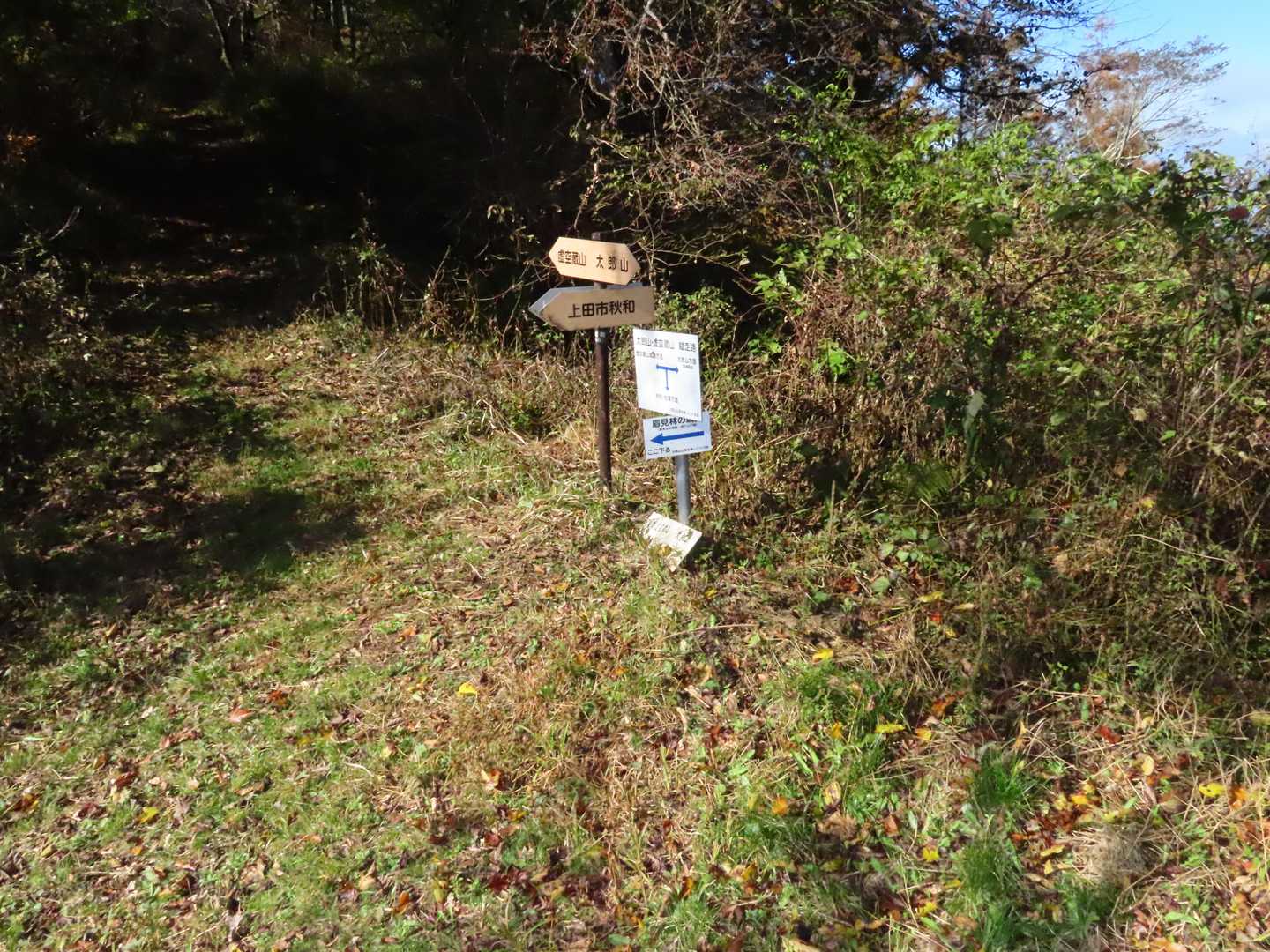 秋和分岐。秋和コースが左から合流します