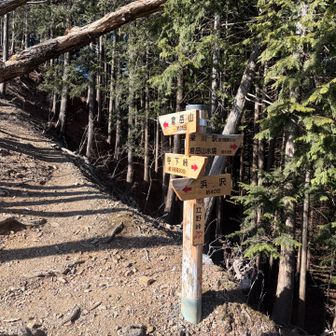 稜線着いた😤💦