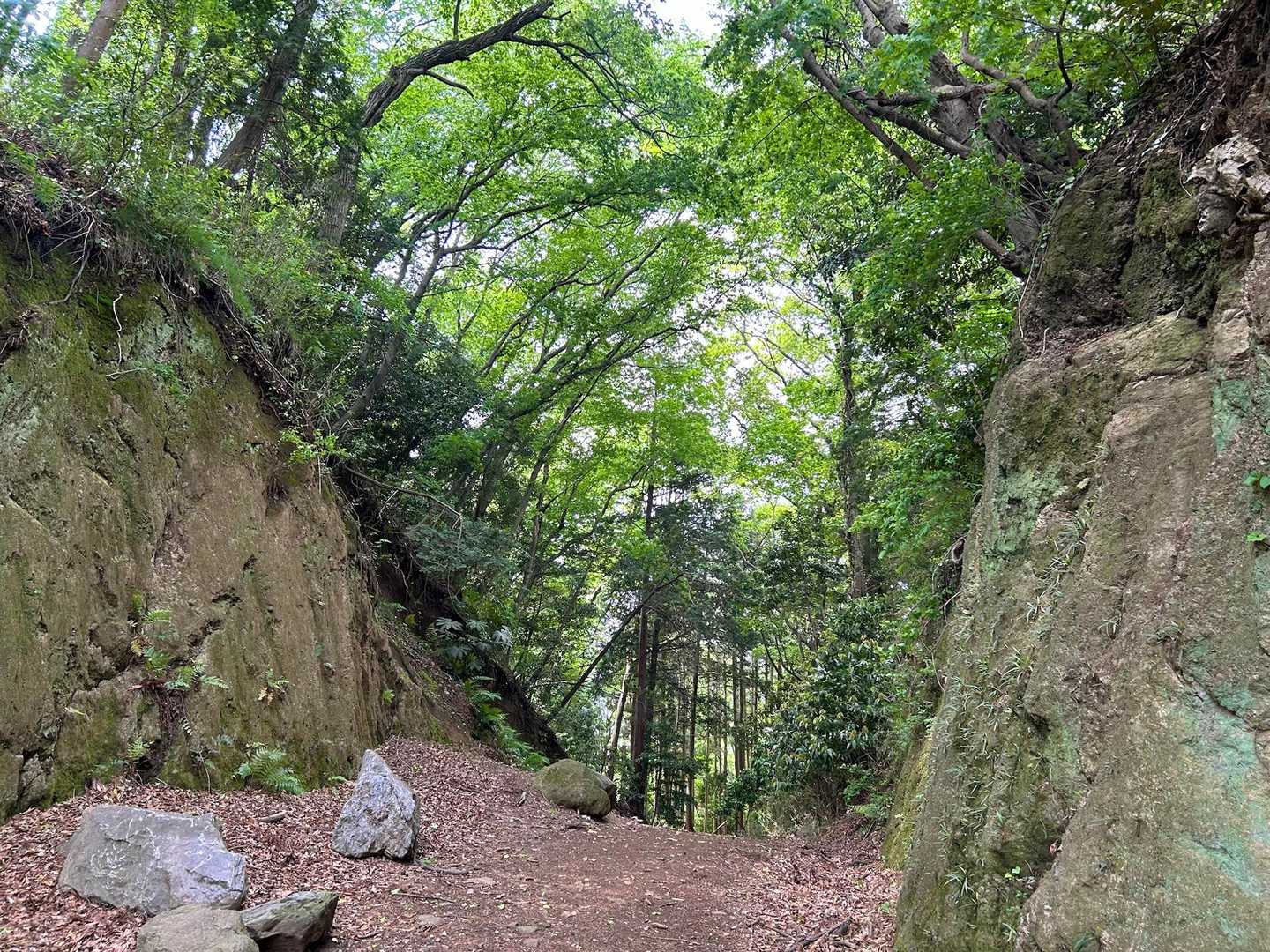 ちょっと物足りないので念仏山に寄り道途中