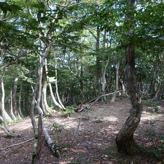 ②小アケビ岳に到着⛰️