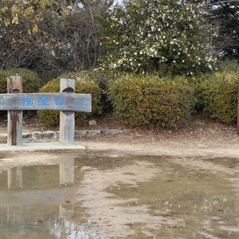 掬星台に着きました